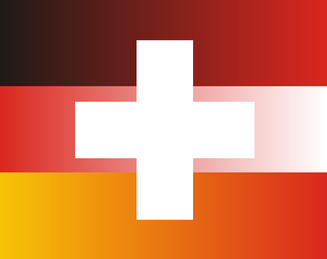 Steuervergleich: Unterschiede zwischen Deutschland und der Schweiz